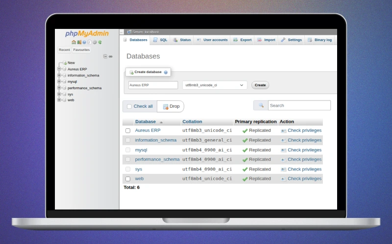 databese for aureseerp